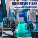 Telleglow 4-Pack 1000ml Glass Erlenmeyer Flasks