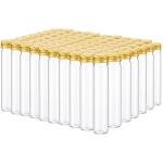 80 Pcs Clear Flat Plastic Test Tubes with Caps