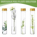80 Pcs Clear Flat Plastic Test Tubes with Caps