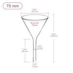 Stonylab 2-Pack Borosilicate Glass Filter Funnels
