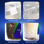 Exhale Homegrown CO2 Bag for Gardens