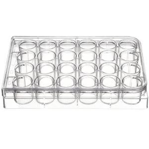 24-Well Plastic Cell Culture Plate for Labs