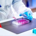 24-Well Plastic Cell Culture Plate for Labs
