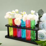 Colorful Plastic Test Tubes with Rack for Parties