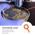 25 Pack 10ul Disposable Inoculating Loops