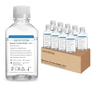 Western Blot Transfer Buffer, 500mL, 10 Bottles