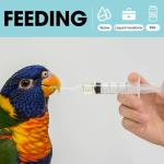 3ml Luer Lock Syringes with Caps - 10 Pack