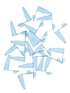 Blue PCR Tubes, 0.2 ml, 1000 pcs