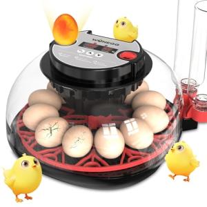 Incubators for Hatching Eggs Egg Incubator 12 Eggs with Automatic Egg Turning and Humidity Control 360° Viewing for Chicken, Ducks, Goose, Pigeon for Lab Farm and Home