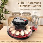 Incubators for Hatching Eggs Egg Incubator 12 Eggs with Automatic Egg Turning and Humidity Control 360° Viewing for Chicken, Ducks, Goose, Pigeon for Lab Farm and Home