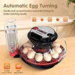 Incubators for Hatching Eggs Egg Incubator 12 Eggs with Automatic Egg Turning and Humidity Control 360° Viewing for Chicken, Ducks, Goose, Pigeon for Lab Farm and Home