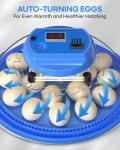 KALEBEE 18 Egg Incubator with Auto Water Refill, LED Candler & Turner, Temperature & Humidity Control, Digital Hatcher for Chicken, Duck, Quail, Goose & Parrot Eggs – Ideal for Farm, Lab, Home Use