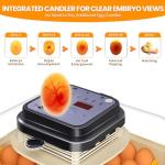 Brivouen 30 Egg Incubator with Humidity Display, Egg Candler, Automatic Egg Turner, for Hatching Chickens