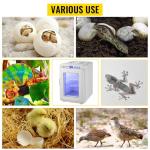 VEVOR Reptile Incubator, 25L Scientific Lab Incubator, Cooling and Heating 5 °C to 42 °C Automatic Incubator, 12V/110V White Reptile Egg Breeding Hatchery Work for Thermostats Snakes and Turtles