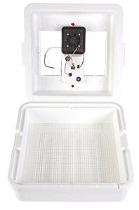Little Giant® Digital Circulated Air Incubator | 41 Eggs | Egg Incubator with Fan, Temperature and Humidity Control | Hatching Eggs