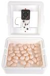 Little Giant® Digital Circulated Air Incubator | 41 Eggs | Egg Incubator with Fan, Temperature and Humidity Control | Hatching Eggs