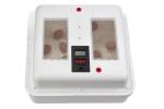Little Giant® Digital Circulated Air Incubator | 41 Eggs | Egg Incubator with Fan, Temperature and Humidity Control | Hatching Eggs
