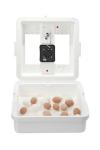 Little Giant® Digital Circulated Air Incubator | 41 Eggs | Egg Incubator with Fan, Temperature and Humidity Control | Hatching Eggs