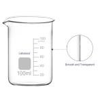 Labasics Glass Beaker, 1 Pack Borosilicate Glass Graduated Low Form Griffin Beaker with Pouring Spout Lab Beaker, 100 ml, High Temperature Resistance, Laboratory use