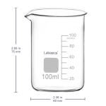 Labasics Glass Beaker, 1 Pack Borosilicate Glass Graduated Low Form Griffin Beaker with Pouring Spout Lab Beaker, 100 ml, High Temperature Resistance, Laboratory use