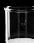 250ml Borosilicate Glass Buchner Funnel with Vacuum Tubulation