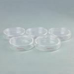 Stonylab 5-Pack Glass Petri Dishes with Lids