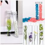 80ml Plastic Test Tubes with Screw Caps - 6 Pack