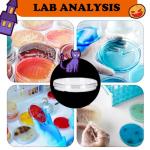 60 Pcs Sterile Plastic Petri Dishes with Lids