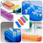 Double Panel Microcentrifuge Tube Rack - 60 Holes