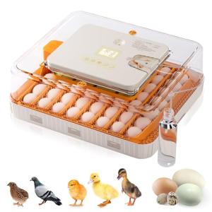 Besly Automatic Egg Incubator with Humidity Control