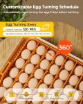 Besly Automatic Egg Incubator with Humidity Control