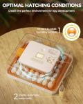 Besly Automatic Egg Incubator with Humidity Control