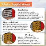 Automatic 400 Eggs Incubator with Turning & Control