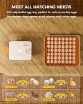 Besly Automatic Egg Incubator with Humidity Control