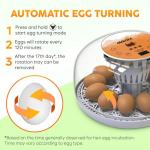 Okkobi M12 Automatic Egg Incubator with Humidity Control