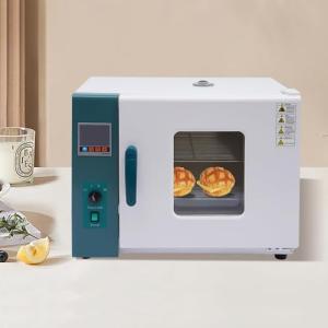 110V 45L Electric Lab Drying Oven with Controller