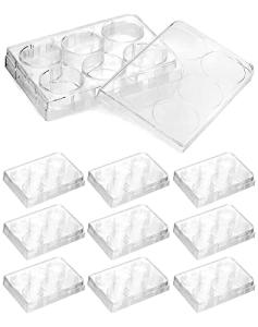 QWORK 6-Well Plastic Tissue Culture Plates, 10 Pcs