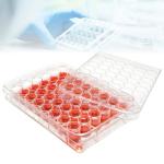 48-Well Tissue Culture Plate with Lids