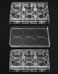 QWORK 6-Well Plastic Tissue Culture Plates, 10 Pcs