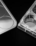 QWORK 6-Well Plastic Tissue Culture Plates, 10 Pcs