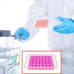 48-Well Tissue Culture Plate with Lids