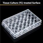 24 Well Cell Culture Plates with Lid – Pack of 5