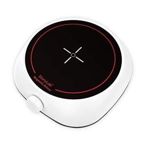 Stonylab Mini Magnetic Stirrer - 2L Capacity
