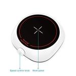 Stonylab Mini Magnetic Stirrer - 2L Capacity