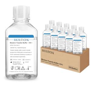 Western Blot Transfer Buffer, 500mL Bottle