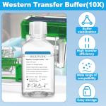 Western Blot Transfer Buffer, 500mL Bottle