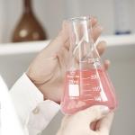 Erlenmeyer Flask Set - 50ml, 150ml, 250ml