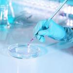 25ml Red Serological Pipettes - Case of 50