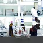 250mL Heavy Wall Round Bottom Flask with Joint