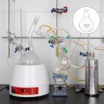 250mL Heavy Wall Round Bottom Flask with Joint